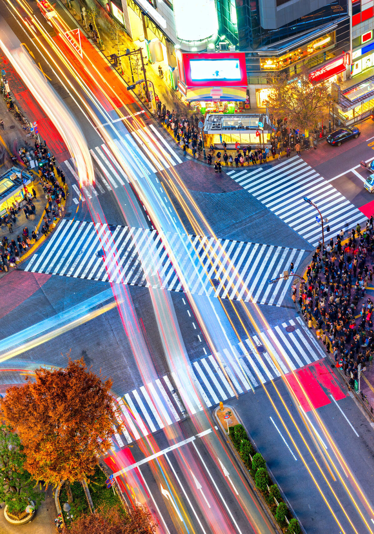 Aerial view of Shibuya Crossing, Tokyo. The scramble crosswalk is one of the largest in the world. Long exposition with light trail
